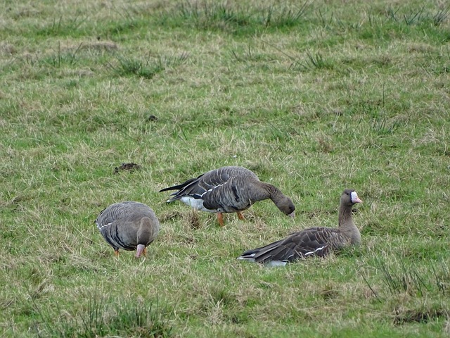 宋振瑜：未来国内培养的门将会更接近足球发达国家要求的水平